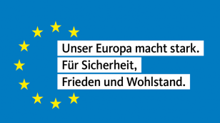 europawahlprogramm.png